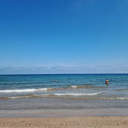 Barbacoa, Piscina Y Playa * Puebla de Farnals